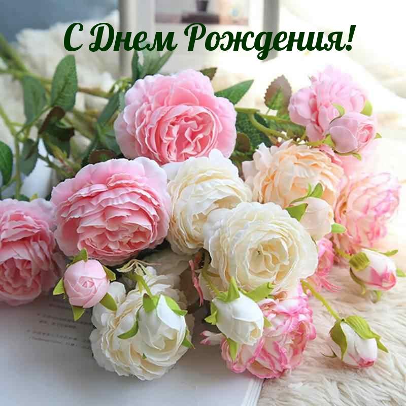 Поздравление с днем рождения!